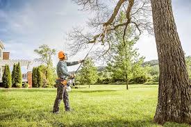 Best Soil Testing and Treatment  in Absecon, NJ