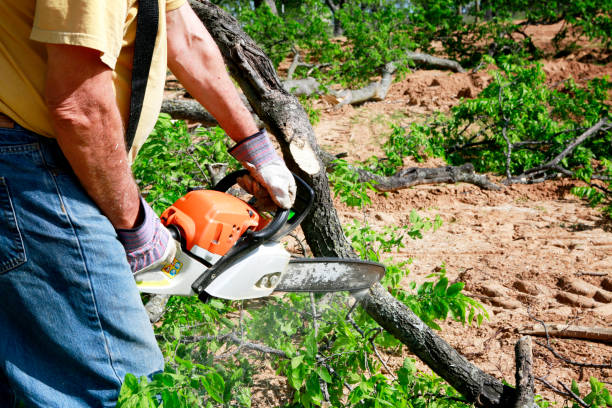Soil Testing and Treatment in Absecon, NJ